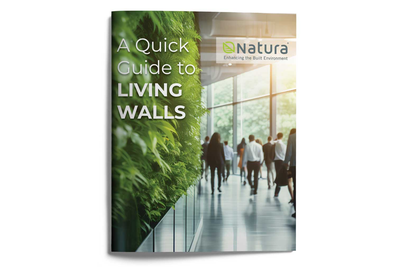 A quick guide to living walls